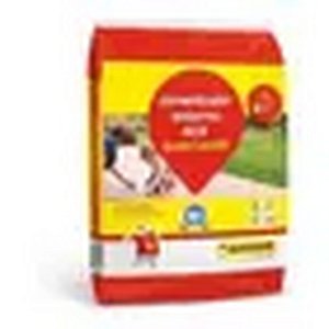 CIMENTCOLA CINZA AC2 20KG QUARTZOLIT