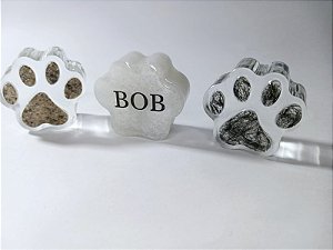 PATINHA  PET  COM PELO OU CINZAS