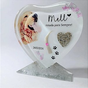 JOIA PET DE RESINA 10cm