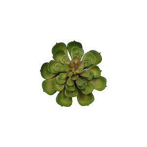 Planta Artificial p/ Terrário - 001