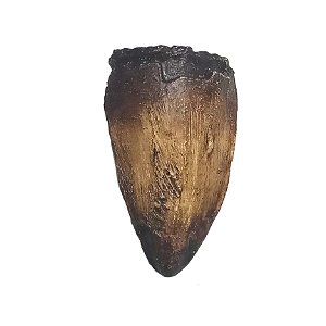 Fóssil de Dente de Purussaurus brasiliensis (RÉPLICA)
