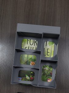 Forest Shuffle Insert 3D Completo