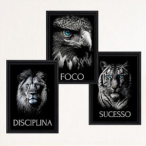 "Disciplina, Foco, Sucesso" - Kit 3 quadros em Canvas com moldura flutuante