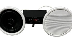 KIT AMPLIFICADOR MARCA DBL ÁUDIO DIGITAL AD 230 BT + 02 CAIXAS DE SOM TIPO PÊNDULO COAXIAL DE 30w