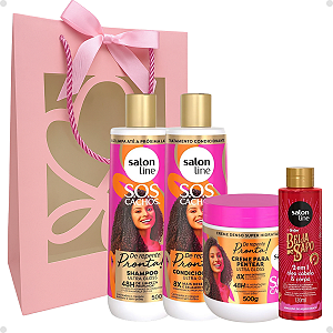 Kit Presente Salon Line De Repente Pronta!: Shampoo, Condicionador e Creme Pentear + Mimo Exclusivo