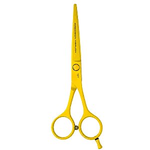 Tesoura Profissional Mega Precision Classica Teflon Fio Navalha 5.5 P16y-55