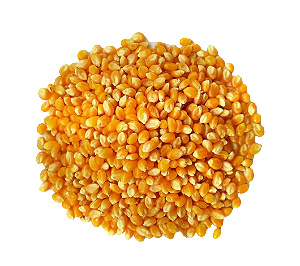 Milho de Pipoca