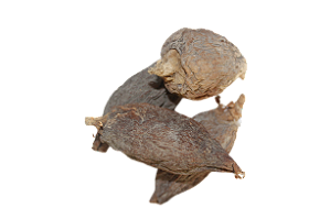 Fava de Ataré