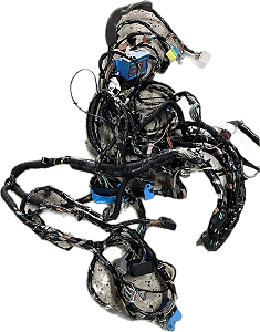 Chicote Completo FORD FOCUS 2001-2009