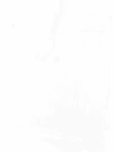 Tapete Carpete Carpe Assoalho FORD FOCUS 2001-2009