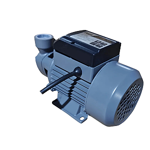 Bomba Periférica Razi 1/2 CV RZ-BP375 Vazão 1500 L/h Altura 30mca