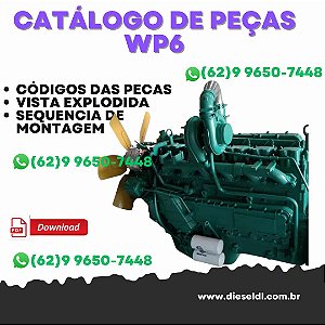 CATÁLOGO DE PEÇAS MOTOR WP6  SDLG