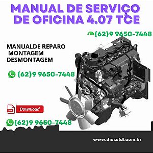 MANUAL DE SERVIÇO DE OFICINA MOTOR  SPRINT ELETRÔNICO  407TCE 607TCE MWM