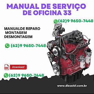 MANUAL DE SERVIÇO DE OFICINA  MOTORES SERIE CITIUS 33 44 49 66 74 84 98  AGCO