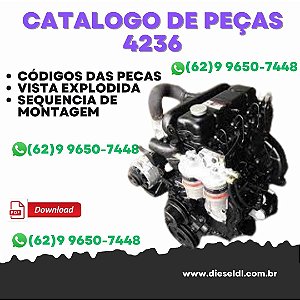 CATÁLOGO DE PEÇAS  MOTOR 4236 T4236 4248 MAXION