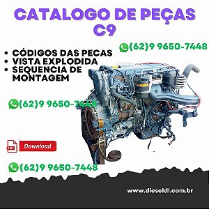 CATALOGO DE PEÇAS MOTOR C9  IVECO