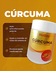 Cúrcuma Longa - Frasco 30 Comp. 1 Unidade.