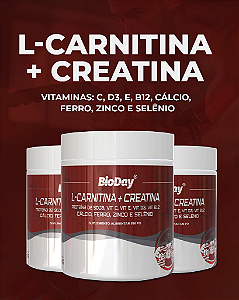 L-Carnitina + Creatina + Vitaminas e Zinco - Pote 300gr + colher. 1 Unidade.