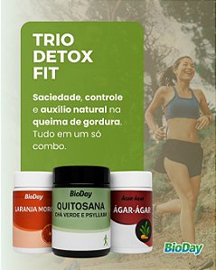 Trio Detox Fit – Saciedade, controle e auxílio natural na queima de gordura