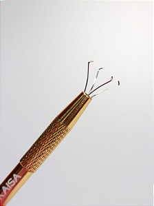 Prego Esponja Kaisa Nails