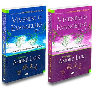 Kit Vivendo o Evangelho - Vol. 1 e Vol. 2