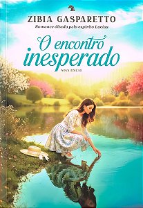 O Encontro Inesperado