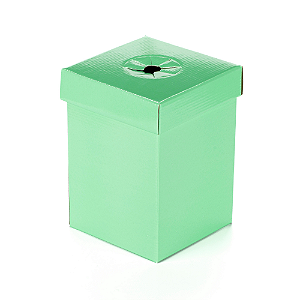 Caixa Bouquet Verde Bebê (02 unidades)