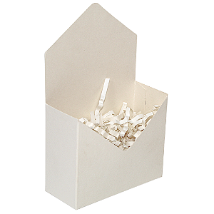 Mini Envelope Marfim (05 unidades)