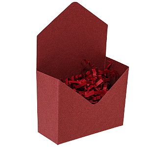 Mini Envelope CardPlus Vermelho (05 unidades)