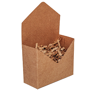Mini Envelope Kraft (05 unidades)