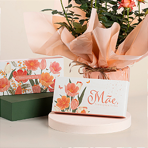 Caixa Barra Mãe, Nosso Primeiro Lar (10 unidades)