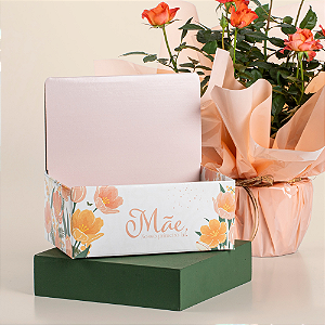 Mini Display Mãe, Nosso Primeiro Lar (03 unidades)