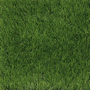 Rolo de Grama Artificial Evergreen Tamanho: 7,38' x 8,76