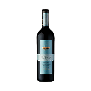 Septima Lote Especial Malbec 2021