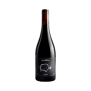 Guaspari Porcellino Tinto