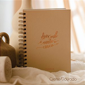 Planner Diário 2025 Meu Ano