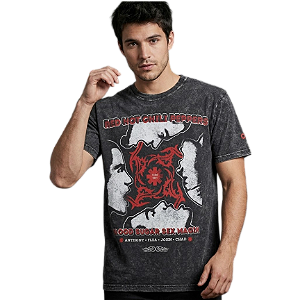 Camiseta LP Estonada RHCP Blood Sugar