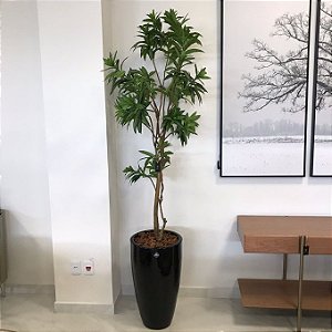 VASO C/ FLOR DRACENA