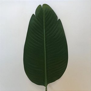 FOLHA BANANEIRA VERDE 1M