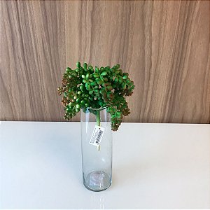 MINI SUCULENTA VERDE E LARANJA