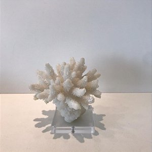 ESCULTURA DECORATIVA ALGA/CORAL BRANCO - MEDIO.