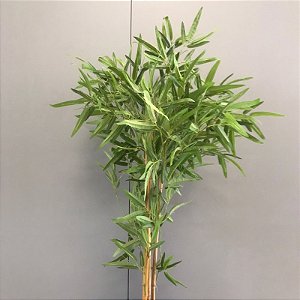 BAMBOO VERDE