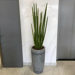 ARRANJO DE CHAO RABO DE TATU VERDE CLARO COM VASO DE PLÁSTICO CINZA MARMORIZADO 1,71M