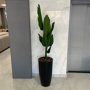 ARRANJO DE CHÃO BANANEIRA E VASO DE PLÁSTICO PRETO 1,90M