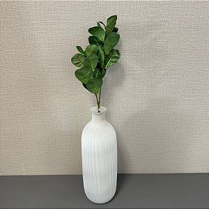 HASTE FICUS CONCINNA 3D VERDE