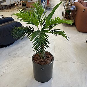 ARRANJO DE CHAO COM PALMEIRA E VASO DE FIBRA