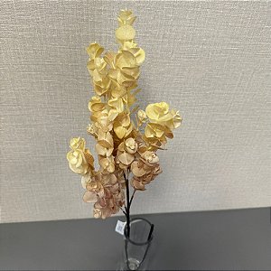 Haste Galho de Eucalipto Creme 80cm
