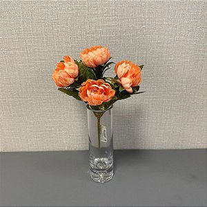 BQ . PEONIA SALMAO