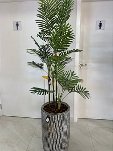 VASO DE CHAO EM CIMENTO M - PLANTA PALMEIRA CICUS