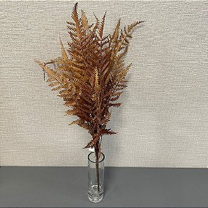 Buque Samambaia 65cm